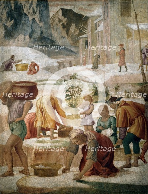 The Israelites gathering Manna, 1509-1510.