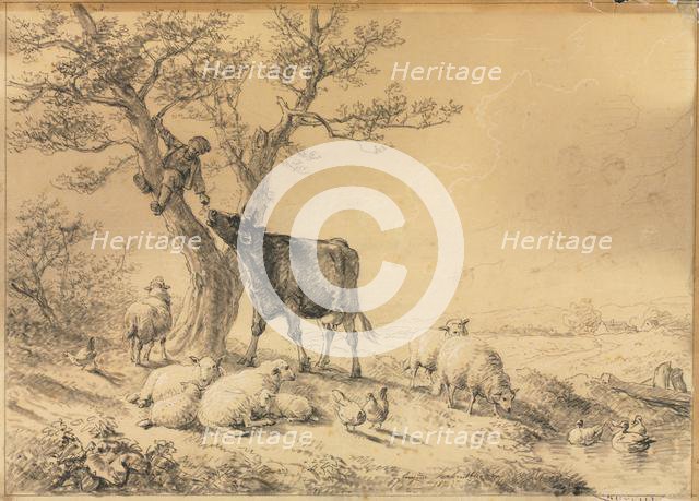 Landscape with Animals and Boy in Tree, 1866. Creator: Eugène Joseph Verboeckhoven (Belgian, 1798-1881).