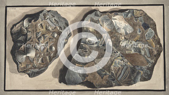 Piece of marble composed of fragments of various sorts of marble found in the Fossa Grande, 1776. 