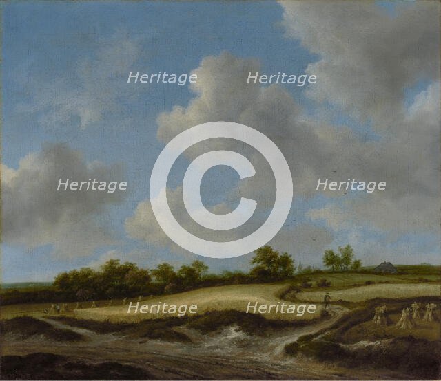 Landscape with a Wheatfield, about late 1650s-early 1660s. Creator: Jacob van Ruisdael.