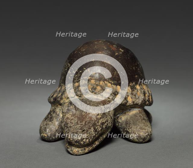 Turtle, before 1921. Creator: Unknown.