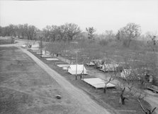 Farm Security Administration (FSA) temporary camp for migrants, Gridley, California, 1939. Creator: Dorothea Lange.