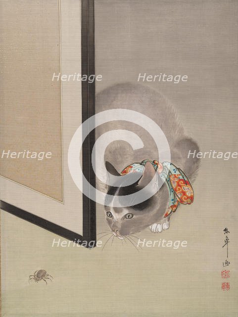 Cat Watching a Spider, ca. 1888-92. Creator: Toko Oide.