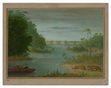 Pont de Palmiers and Tiger Shooting, 1854/1869. Creator: George Catlin.