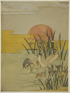 Cranes in an Iris Pond at Sunrise, c. 1774. Creator: Isoda Koryusai.