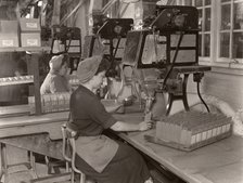 Women packing Elect Cocoa, Rowntree factory, York, Yorkshire, 1955. Artist: Unknown