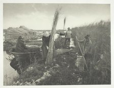 During the Reed Harvest, 1886. Creator: Peter Henry Emerson.