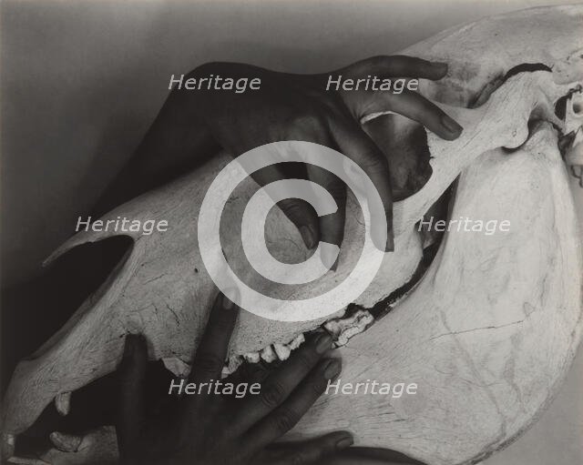 Georgia O'Keeffe - Hands and Horse Skull, 1931. Creator: Alfred Stieglitz.
