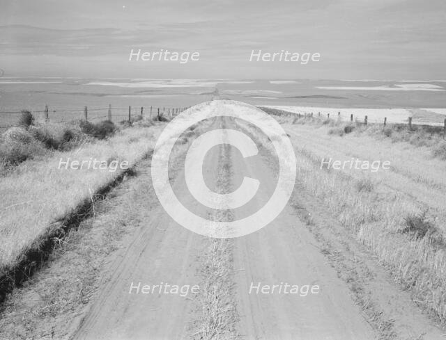 Western wheat country in a region which yields over twenty five..., Umatilla County, Oregon, 1939. Creator: Dorothea Lange.