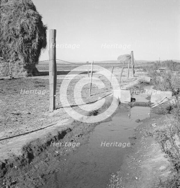 Emmett Smith's yard, back of the house, Dead Ox Flat, Malheur County, Oregon, 1939. Creator: Dorothea Lange.