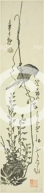 Canary and wisteria, mid-1840s. Creator: Ando Hiroshige.