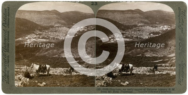 Shechem, south-west from Mount Ebal, Palestine, 1900s.Artist: Underwood & Underwood