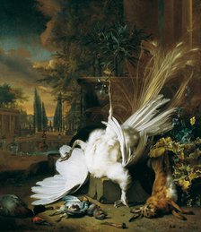 The white peacock, 1693. Creator: Weenix, Jan, the Younger (1642-1719).
