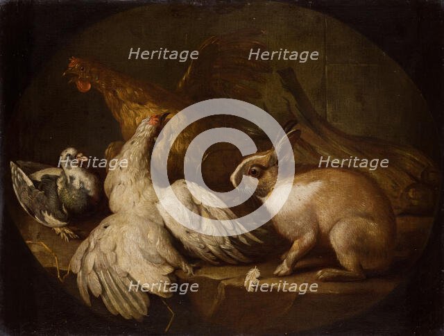 Hens, a Pigeon and a Rabbit, between 1718-1720. Creator: Giovanni Agostino Cassana.