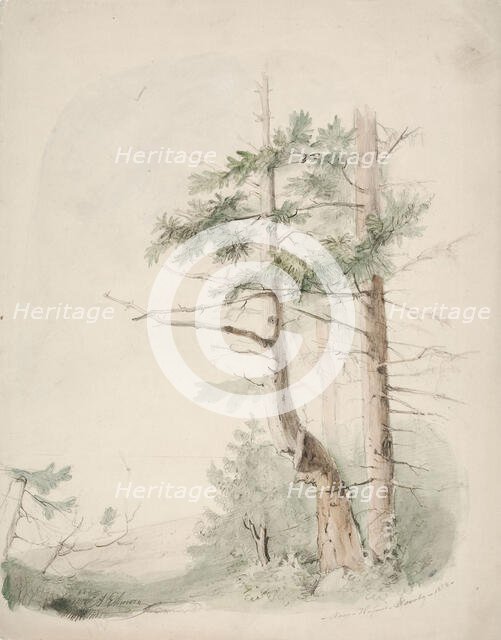 Seaside Landscape "Nagu-Hafverö-Norrby", 1853. Creator: Karl Anders Ekman.