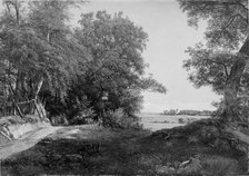 A Summer Morning beside the Deer Park Fence in Ordrup Spinney, North of Copenhagen, 1855. Creator: Thorald Brendstrup.