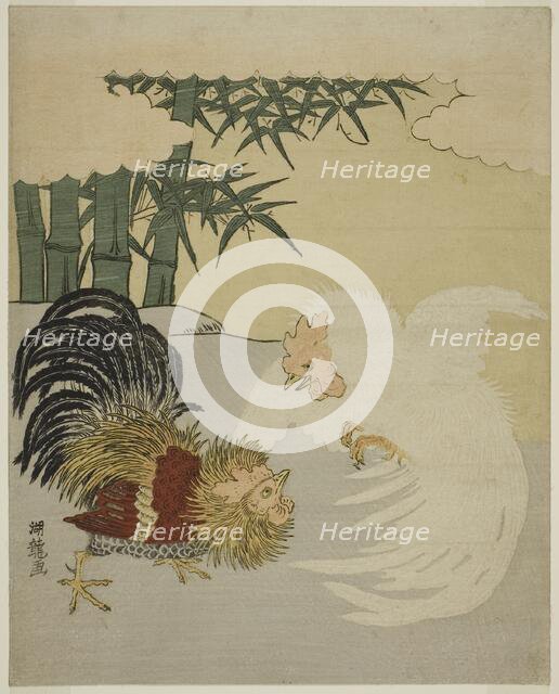 Cocks Fighting near Bamboo Grove, c. 1770s. Creator: Isoda Koryusai.