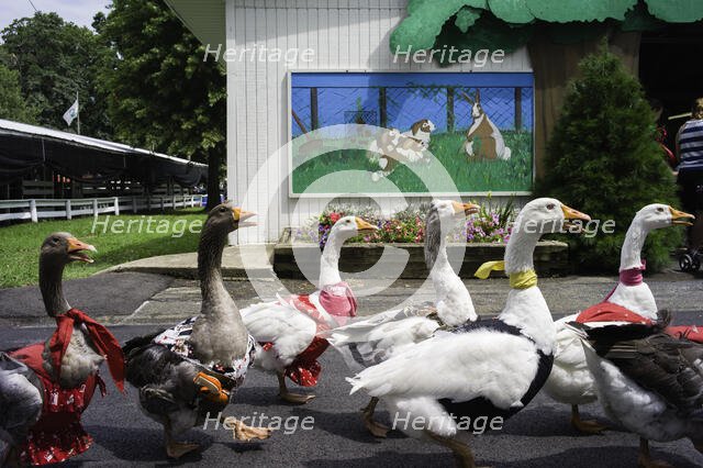 16 Chestnut Street, Gaithersburg, MD. Creator: Chris Suspect.