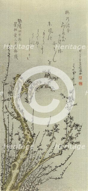 Old Plum Tree, 1796. Creator: Kubo Shunman.
