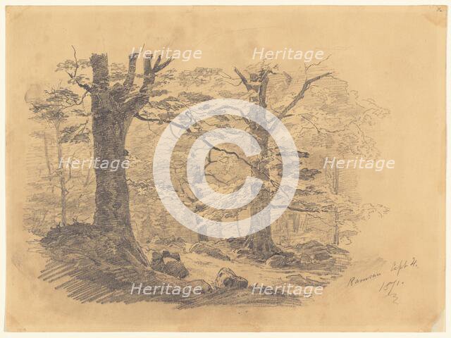 Forest, Ramsau, Germany, 1871. Creator: John Singer Sargent.