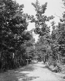 Road to High Rock, Pen Mar Park, Md., between 1900 and 1906. Creator: Unknown.
