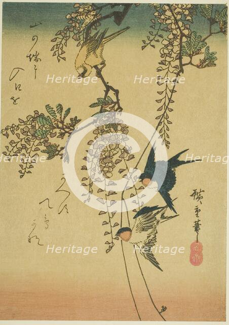 Swallow, yellow bird, and wisteria, 1830s-1840s. Creator: Ando Hiroshige.