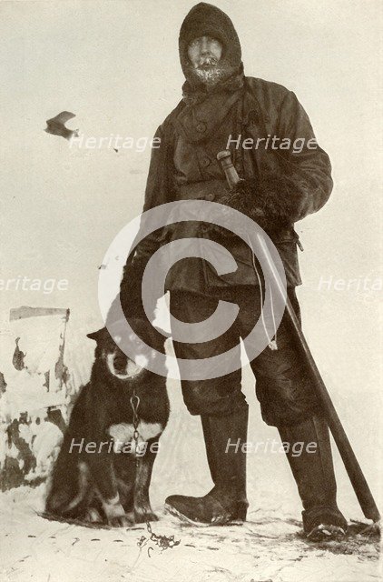 'C. H. Meares and 'Osman', The Leader of the Dogs', 28 August 1911, (1913). Artist: Herbert Ponting.