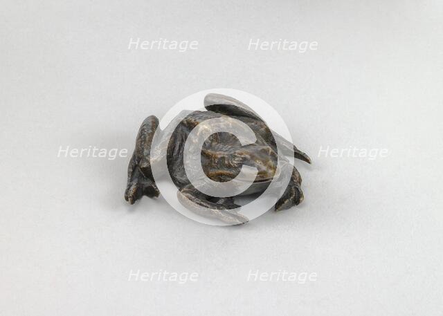 A Toad, 16th century. Creator: Unknown.