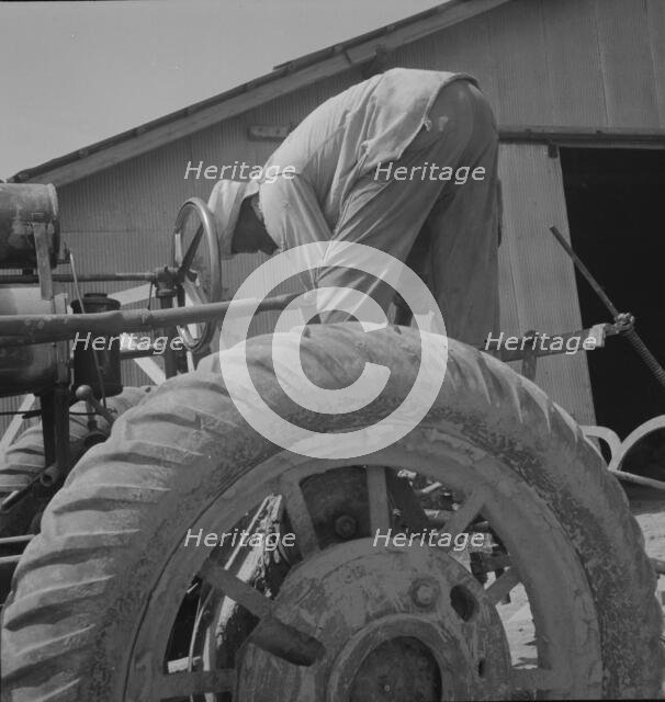 Tractor driver, Aldridge Plantation, Mississippi, 1937. Creator: Dorothea Lange.