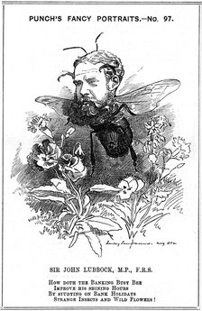 John Lubbock, first Baron Avebury, English banker, archaeologist, naturalist and politician, 1882. Artist: Edward Linley Sambourne