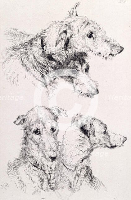 The Four Irish Greyhounds, c1860. Creator: Edwin Henry Landseer.