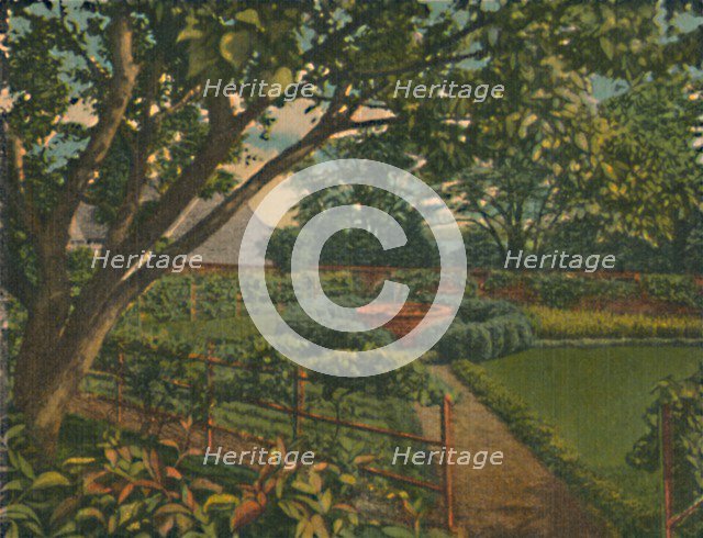 'The Kitchen Garden', 1946. Artist: Unknown.