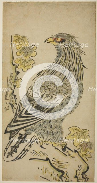 A Hawk on a Cliff near a Kiri Tree, c. 1716. Creator: Torii Kiyomasu I.
