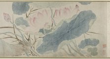 Flowering Lotus, Ming dynasty (1368-1644), 1543. Creator: Chen Shun.
