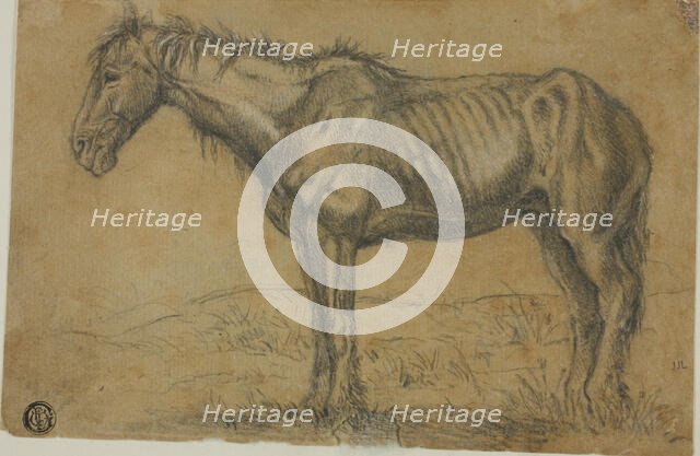 Emaciated Horse (recto); Frontal View of a Horse (verso), n.d. Creator: Charles Emile Jacque.