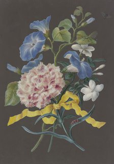 Arrangement of pink carnations (Dianthus), blue bindweed (Convolvulus), and white jasmine ... Creator: Barbara Regina Dietzsch circle.