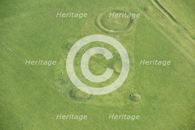 Lake Down Barrow Cemetery earthwork, Willtshire, 2017. Creator: Damian Grady.