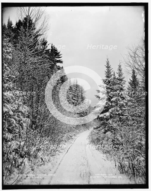 Ammonoosuc turnpike, winter, White Mountains, c1900. Creator: Unknown.