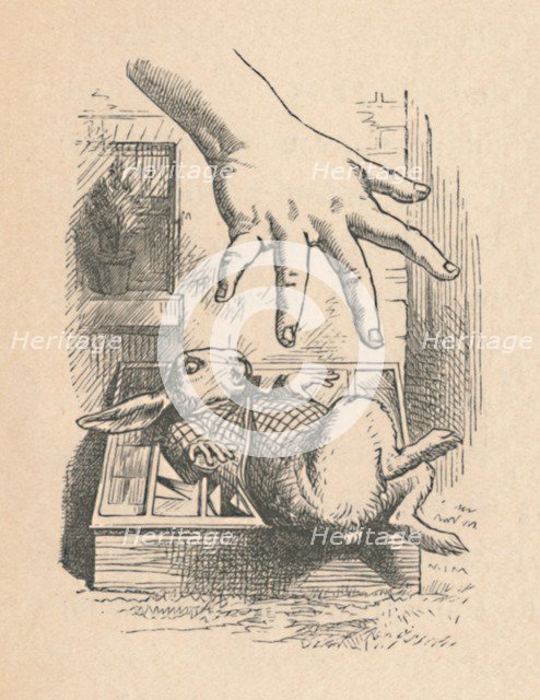 'Alice putting her hand down to the White Rabbit', 1889. Artist: John Tenniel.