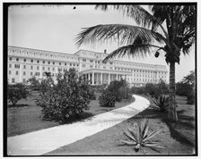 Hotel Royal Palm i.e. Royal Palm Hotel, Miami, Fla., c1900. Creator: William H. Jackson.