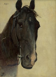 Head study of a black horse, 1890-1900. Creator: Jozef Hanula.