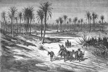'Palm groves of Elche, near Alicante; Notes on Spain', 1875. Creator: Unknown.