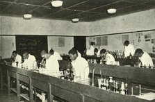 'Scenes in a Native College - Students of Bacteriology at the Fort Hare Native College at Alice in C Creator: Unknown.