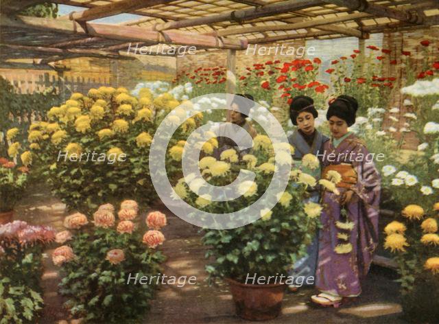 'At the Chrysanthemum Show', 1910. Creator: Herbert Ponting.
