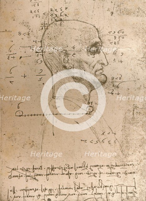 Drawing of the head of a criminal, c1472-c1519 (1883). Artist: Leonardo da Vinci.