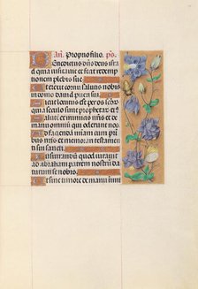 Hours of Queen Isabella the Catholic, Queen of Spain: Fol. 59r, c. 1500. Creator: Master of the First Prayerbook of Maximillian (Flemish, c. 1444-1519); Associates, and.