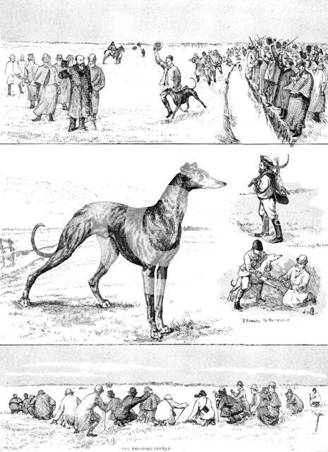 Sketches at the Waterloo Cup Meeting, 1890. Creator: Unknown.