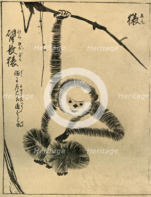 Monkey, 1720, (1924).  Creator: Tachibana Morikuni.