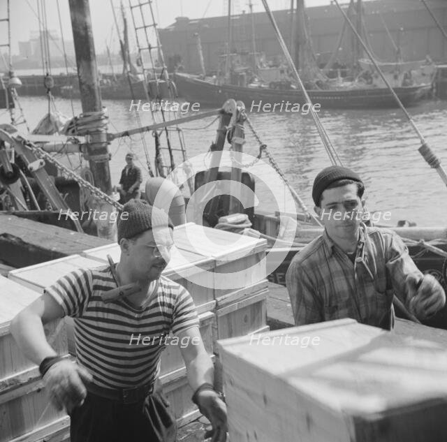Possibly:  Loaders placing fish that has been taken from boats, boxed, and iced..., New York, 1943. Creator: Gordon Parks.