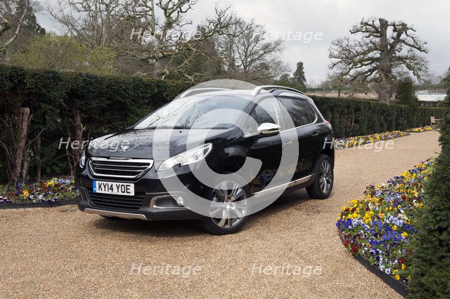 2014 Peugeot 2008 Hdi Feline Artist: Unknown.